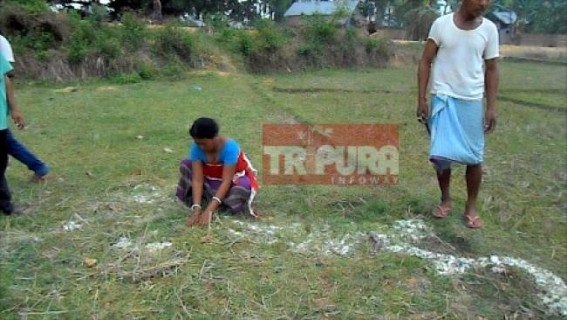 Elephant attack caused massive losses, negligence of Forest dept. alleged Elephant attack caused massive losses, negligence of Forest dept. alleged